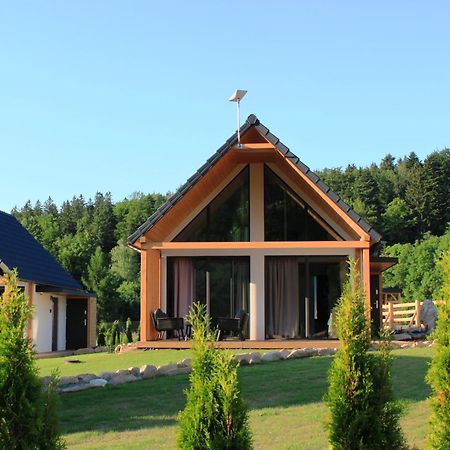 Villa Galena I Gnejs Stronie Śląskie Exterior foto